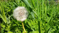 /album/michalova/a2013-05-20-16-38-30-jpg/